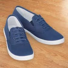 Best Canvas Shoes for Walking